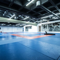 BJJ and Grappling room