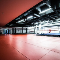 RSSALUR: MMA, Kickbox, Boxing