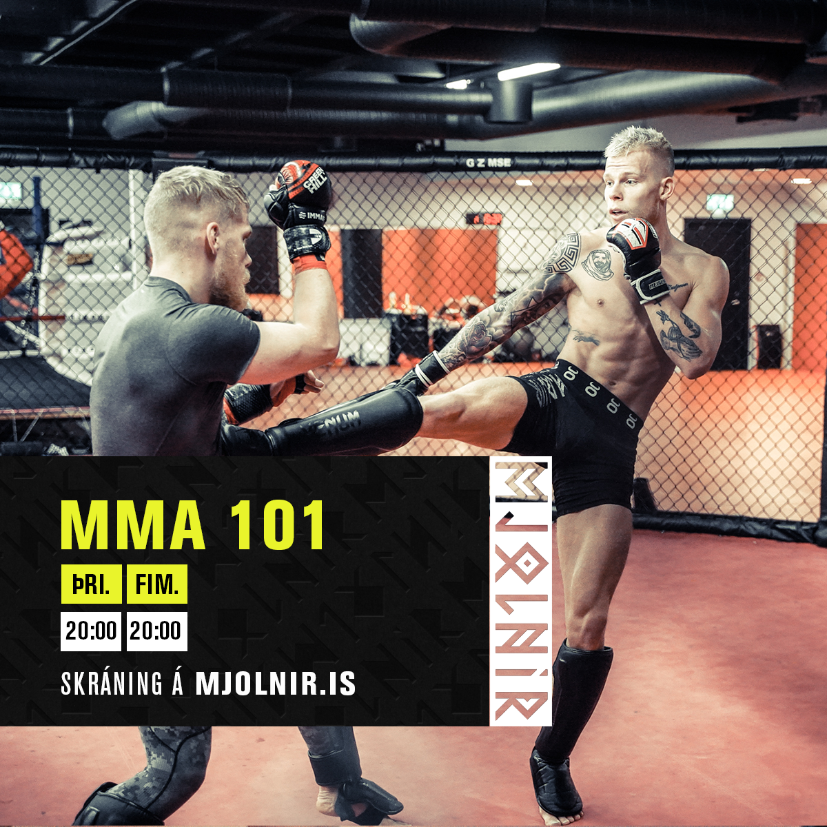 MMA 101