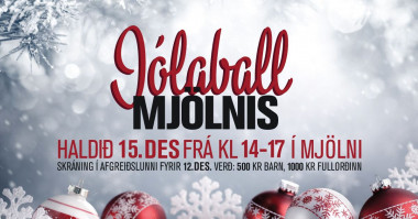 JLABALL MJLNIS 15. DESEMBER