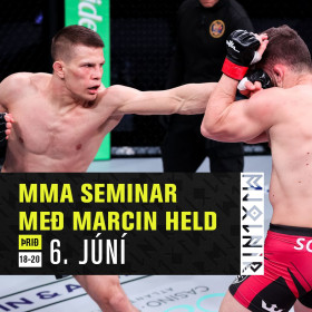 Marcin Held MMA seminar